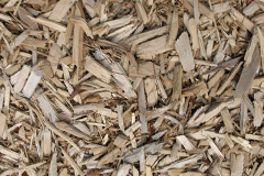 biomass boilers Reynalton
